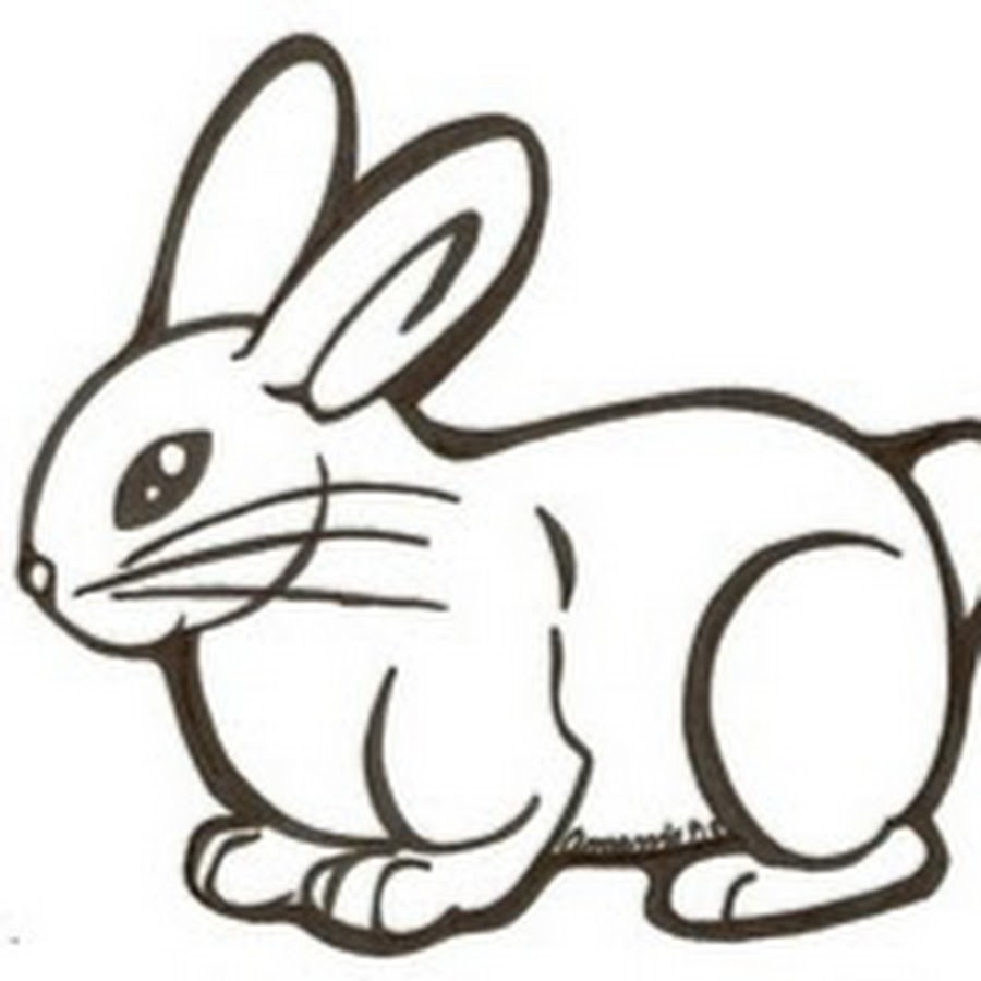 Рисовать заяц: Как нарисовать зайца карандашом